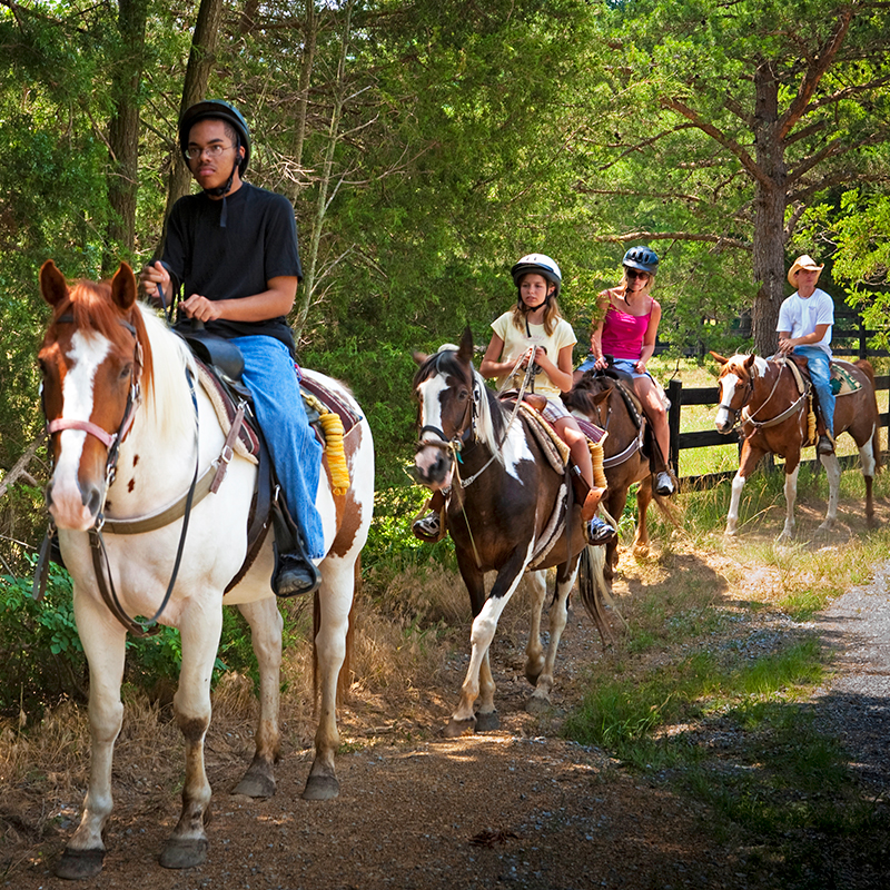 Horseback Riding