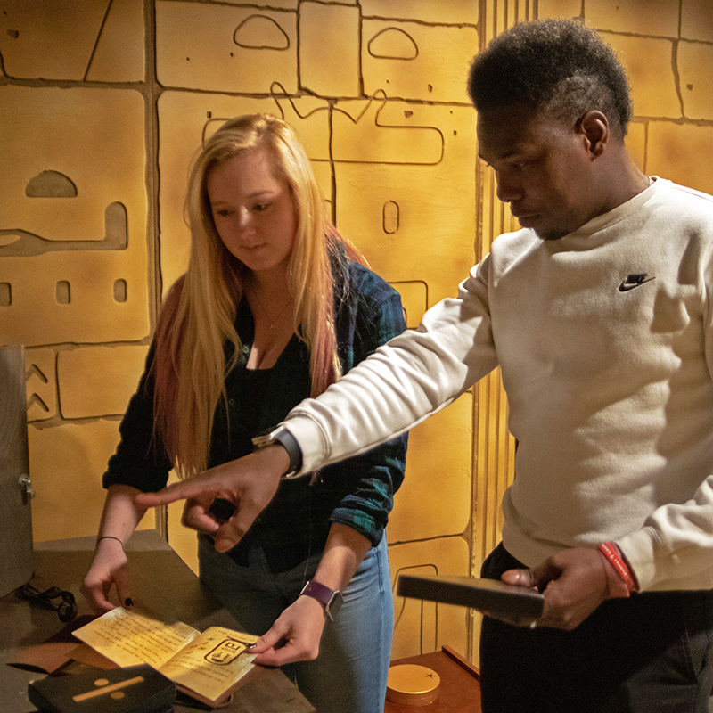 Pharaoh’s Revenge Escape Room