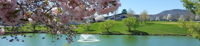 A scenic photo of Massanutten Resort