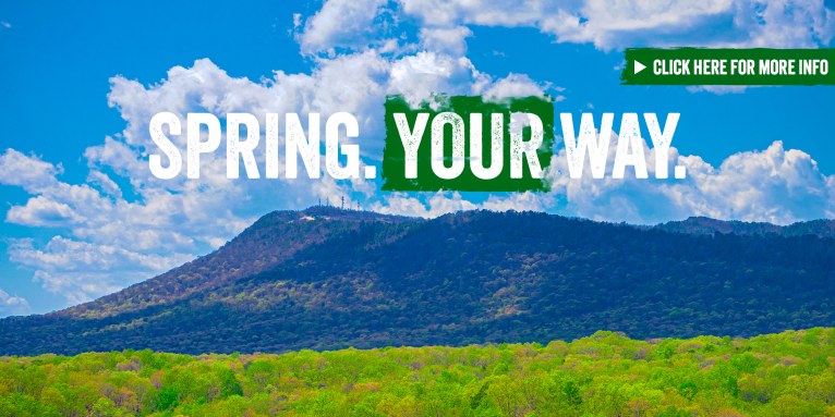 Spring. Your Way. - spring season photo