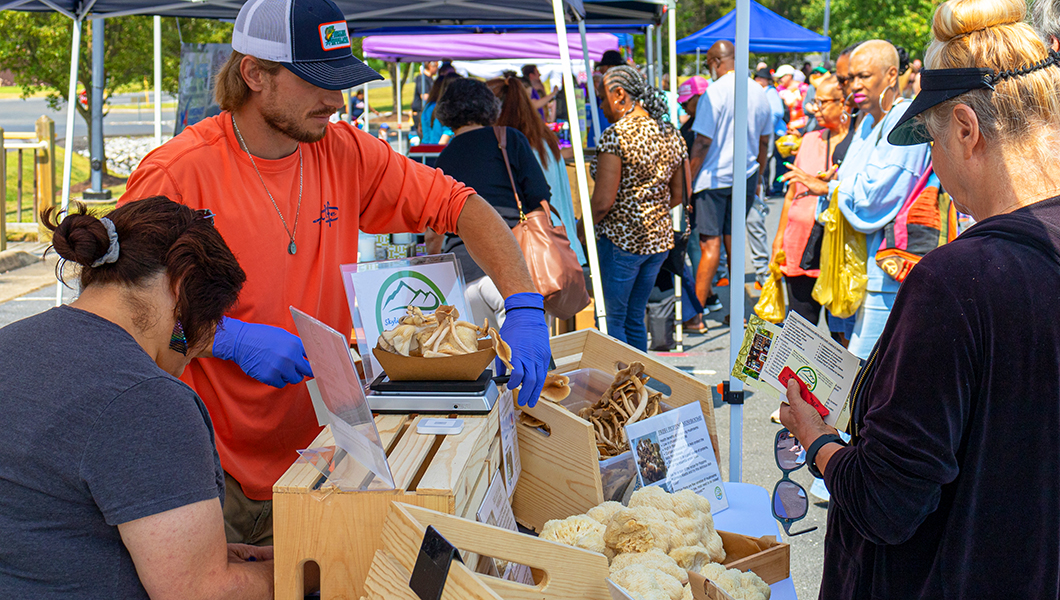 Massanutten Farmers Market