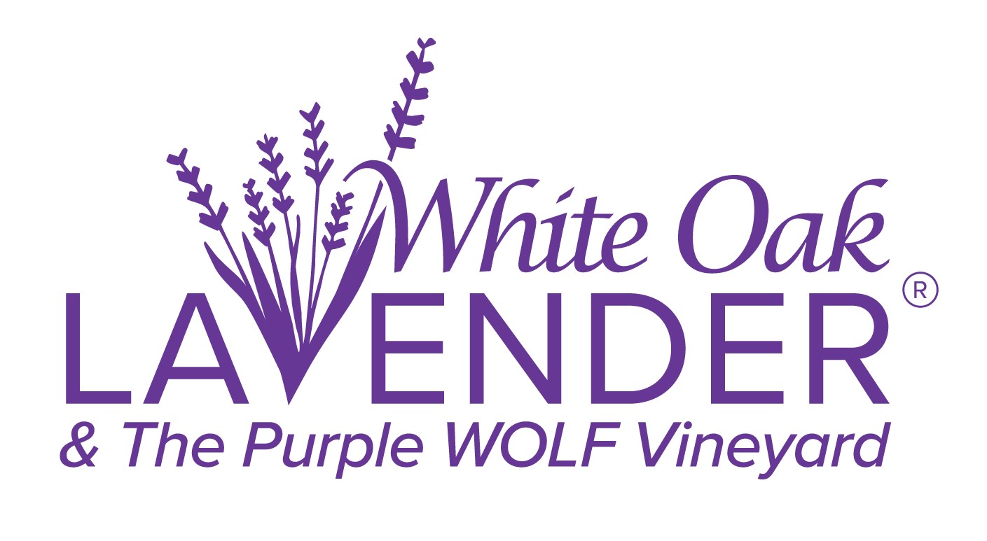 White Oak Lavender Farm