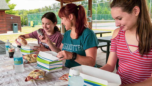 A fmaily enjoying a picnic at Massanutten Resort