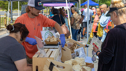 Guests at the Massanutten Farmers Market