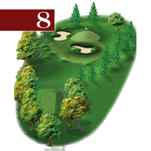 woodstone hole 8