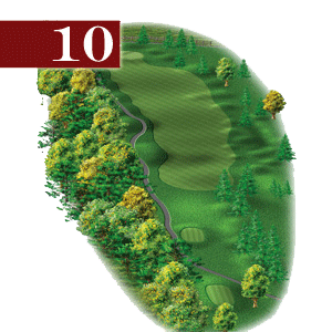 woodstone hole 10