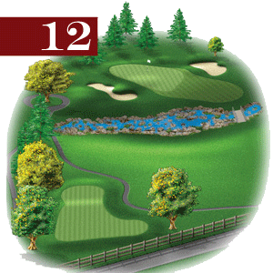 woodstone hole 12
