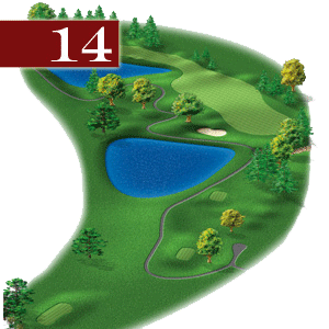 woodstone hole 14