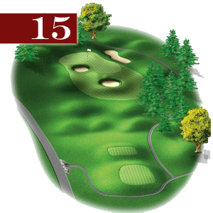 woodstone hole 15