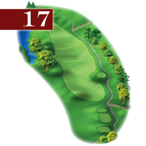 woodstone hole 17