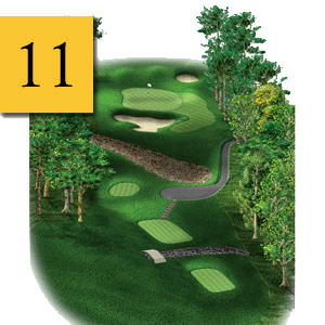 mtn greens hole 11